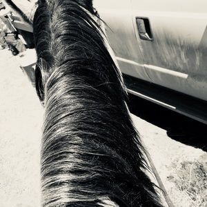 Meet your Posher, Kacey